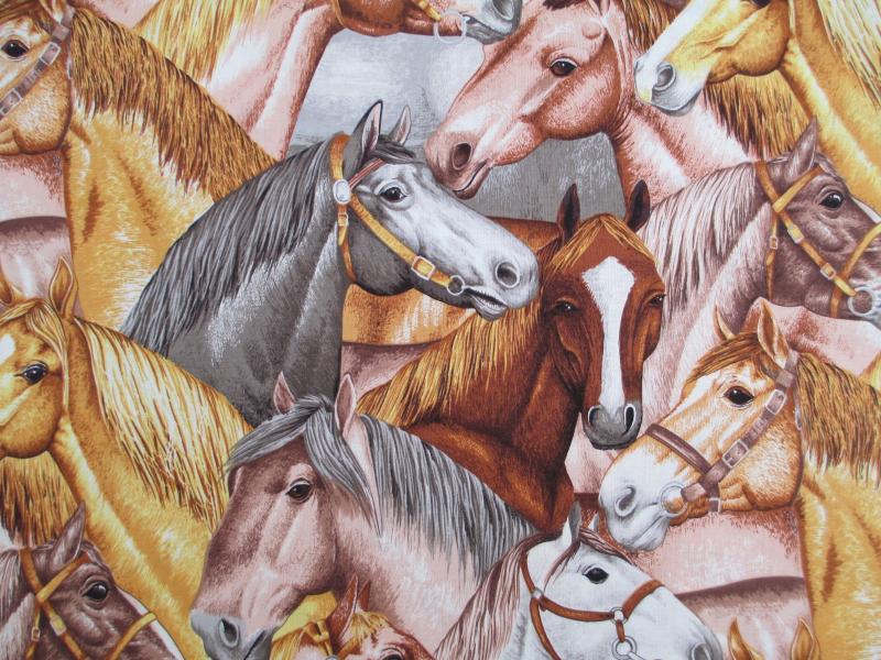 horse